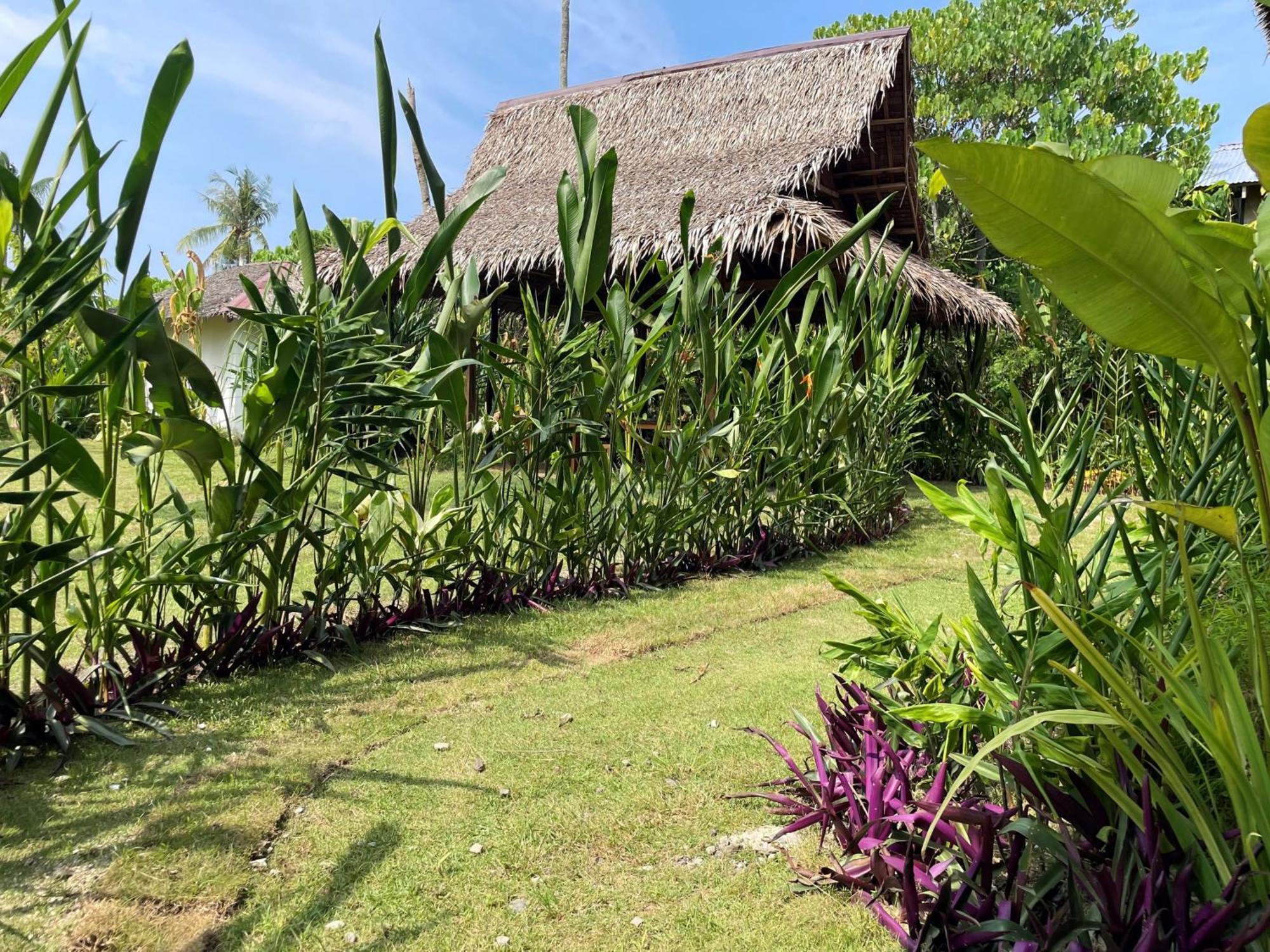 Siargao Sunflower Suites General Luna  Dış mekan fotoğraf