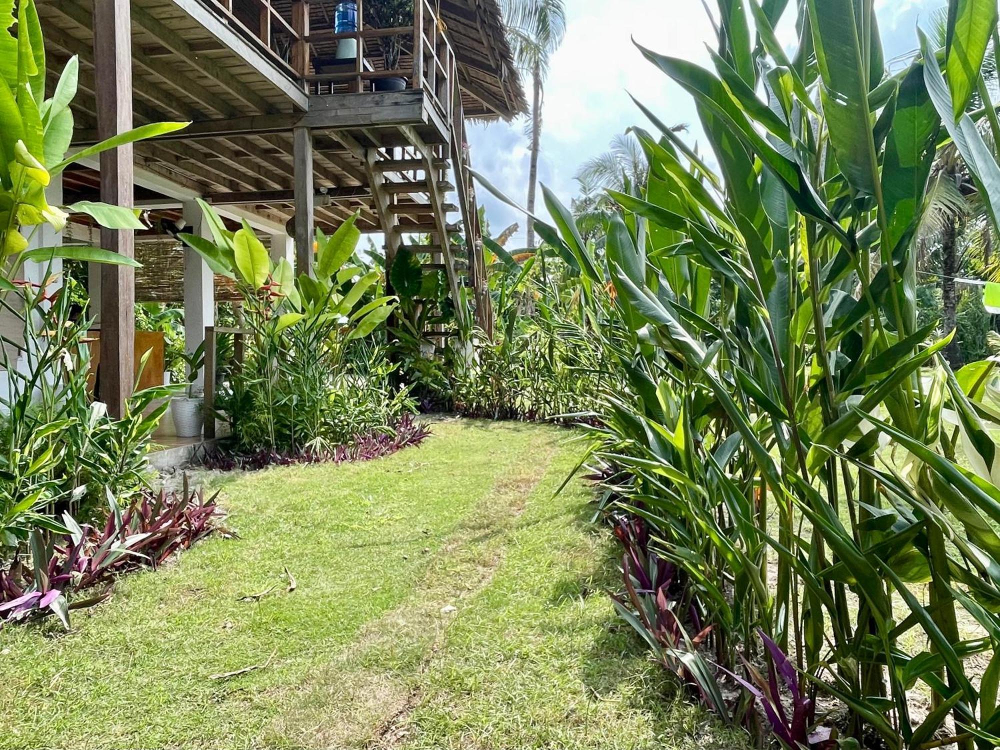 Siargao Sunflower Suites General Luna  Dış mekan fotoğraf